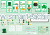 Flashcards, karty memory, bingo i definicje – St. Patrick’s Day po angielsku