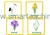 Spring vocabulary – karty ze słownictwem do druku