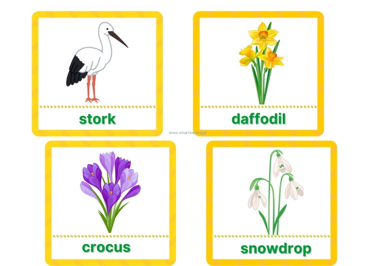 Spring vocabulary – karty ze słownictwem do druku