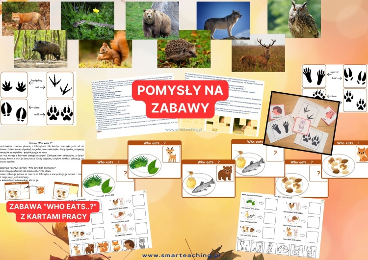 Forest Animals ideas – Who eats game, animal footprints, worksheets, forest animal activities for English lessons.