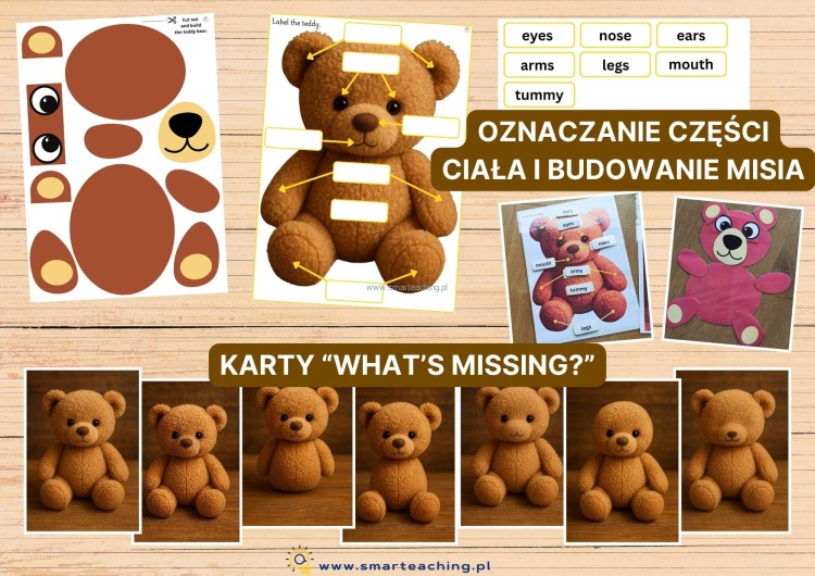 Karty do oznaczania części ciała misia i zabawy w jego budowanie